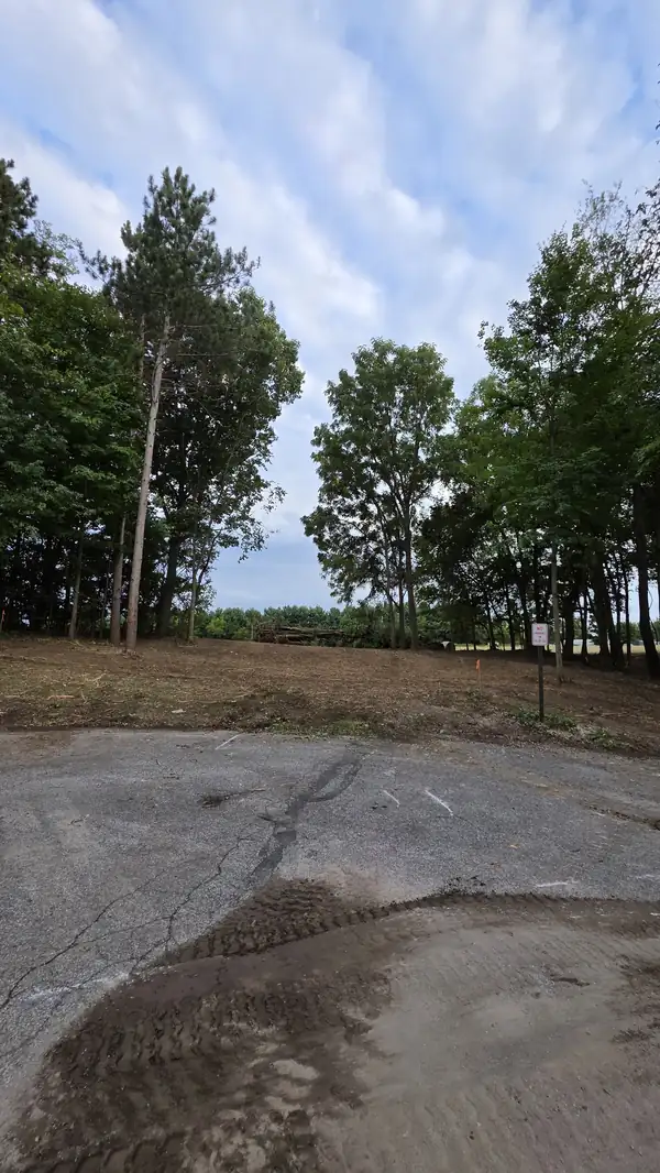 Cleared strip of ground along a tree line next to an asphalt lot